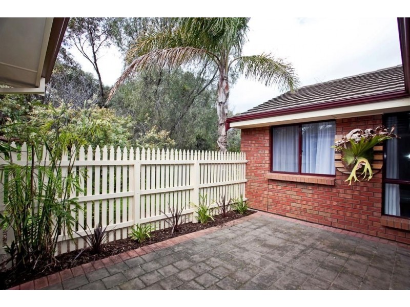 8 Trellios Street, Modbury SA 5092