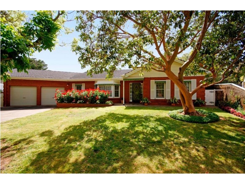 3 Dalwood Ct, Rosslyn Park SA 5072