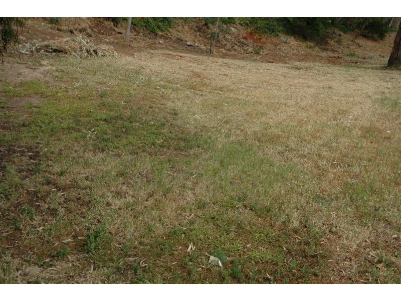 40 Tay Road, Woodforde SA 5072