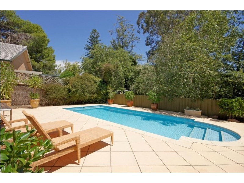 16 Rosedale Avenue, Wattle Park SA 5066