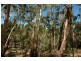 767 Greenhill Road, (above Burnside), Greenhill SA 5140