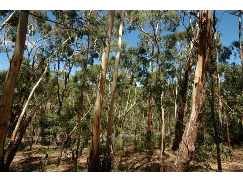 767 Greenhill Road, (above Burnside), Greenhill SA 5140