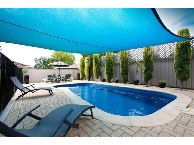 6 Conifer Court, Newton SA 5074