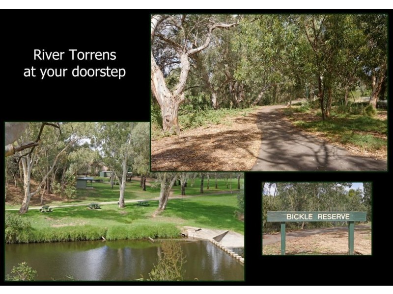 32 Gilbert Street, Gilberton SA 5081