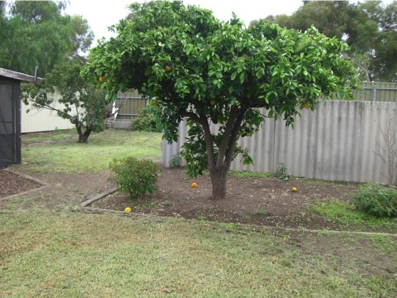 35 Pudney Street, Seaton SA 5023