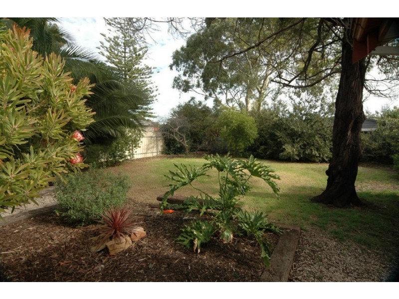 16 Harrison Street, Magill SA 5072