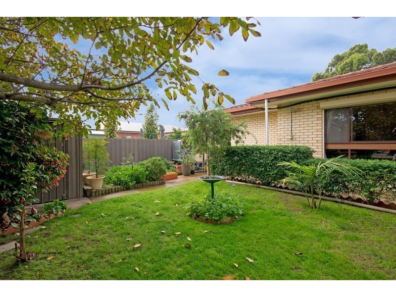 2/3 Frank St, St Morris SA 5068