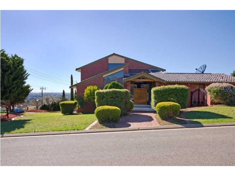 22 Palomino Road, Auldana SA 5072