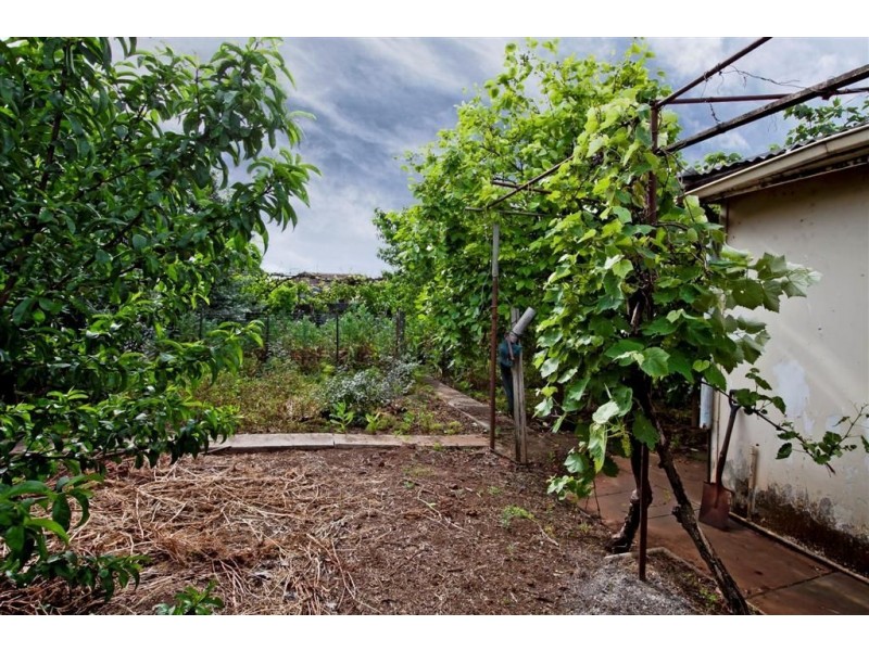 9 Rowney Ave, Campbelltown SA 5074