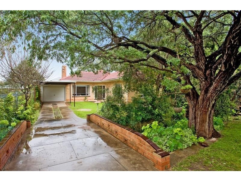 62 Balmoral Avenue, Magill SA 5072