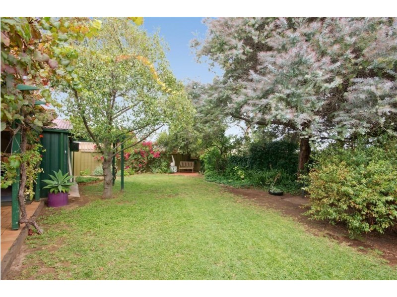 13 Richmond Avenue, Colonel Light Gardens SA 5041