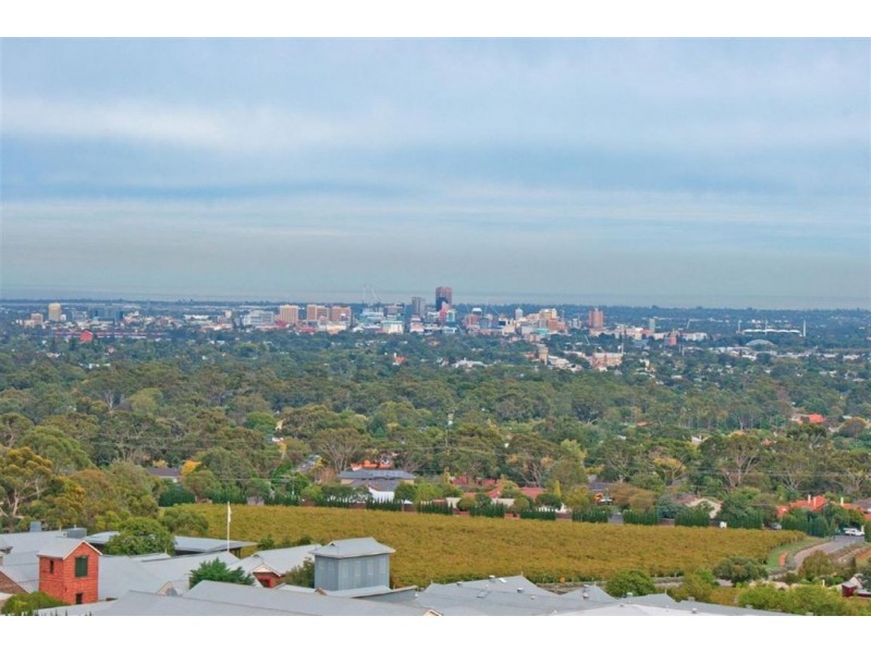 11 Traminer Way, Auldana SA 5072