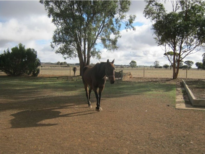 Lot 29-33 Robins Lane, Marrabel SA 5413