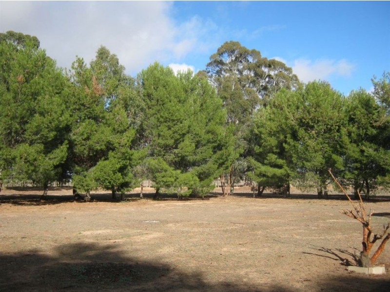 Lot 29-33 Robins Lane, Marrabel SA 5413