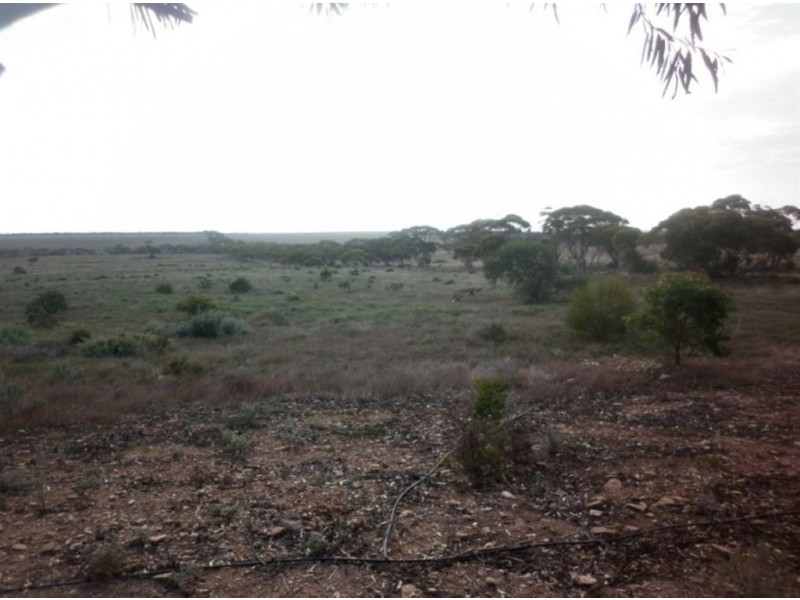 57 Mickan Road, Hundred of Bower, via, Eudunda SA 5374