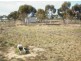 57 Mickan Road, Hundred of Bower, via, Eudunda SA 5374