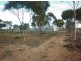 57 Mickan Road, Hundred of Bower, via, Eudunda SA 5374