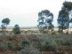 57 Mickan Road, Hundred of Bower, via, Eudunda SA 5374