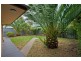 5 Ripon Road, Clarence Park SA 5034