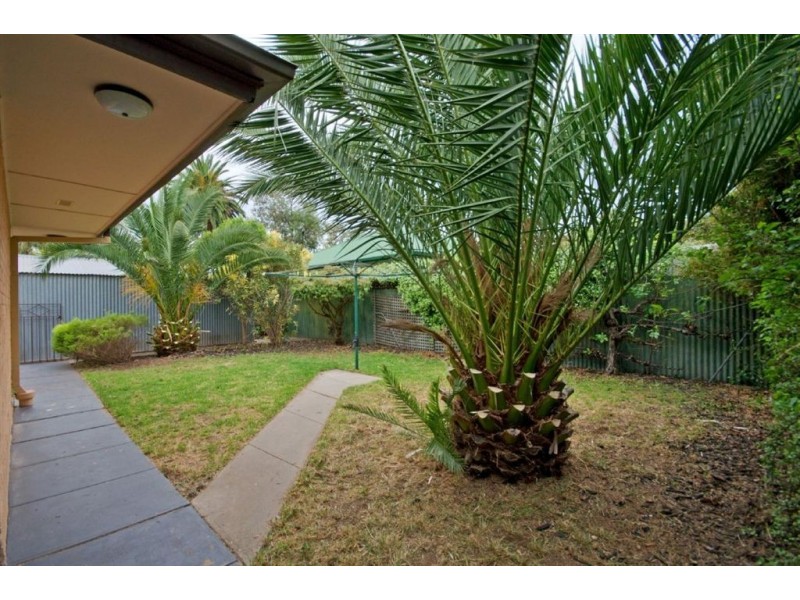 5 Ripon Road, Clarence Park SA 5034