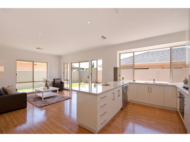 24 McCarthy Avenue, Hectorville SA 5073