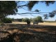 Lot 2 Marrabel Road, Riverton SA 5412