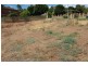 Lot 201 Coachhouse Drive, Teringie SA 5072