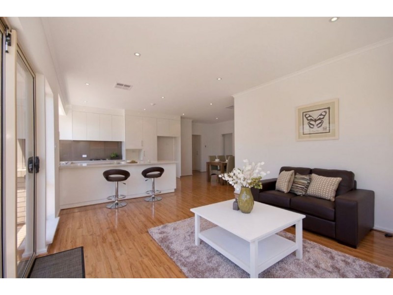 24 McCarthy Avenue, Hectorville SA 5073