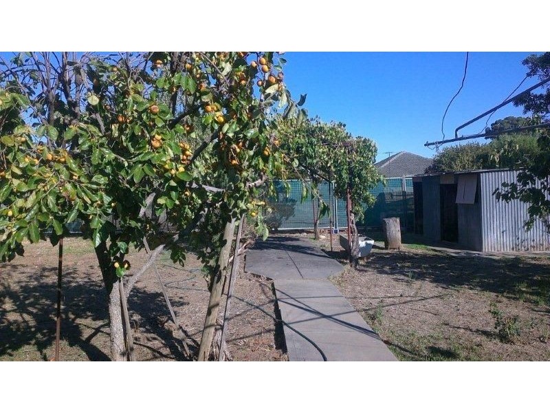 4 Rostrevor Avenue, Rostrevor SA 5073