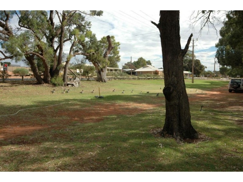 Lots 3&26 Kingston Road, Moorook SA 5332