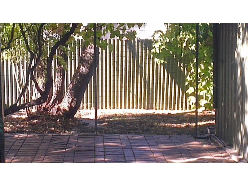 8 Gothic Drive, Paradise SA 5075