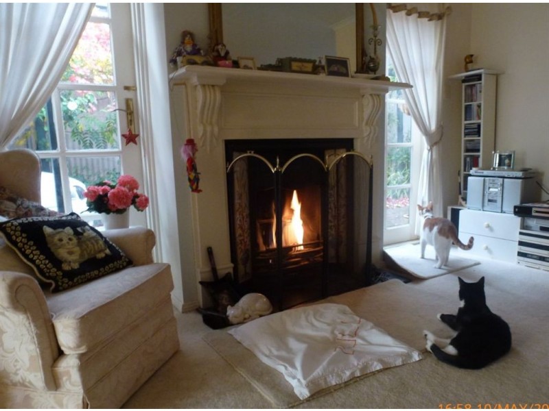 6 Mulberry Court, Magill SA 5072