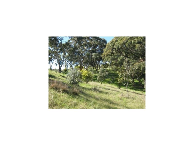 Lot 45 Norman Drive, Clare SA 5453