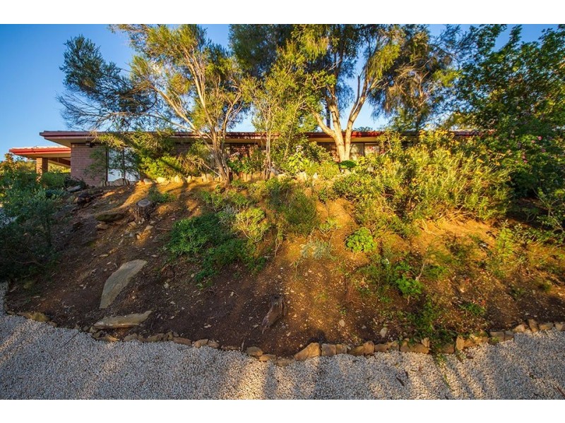5 Gamay Court, Auldana SA 5072