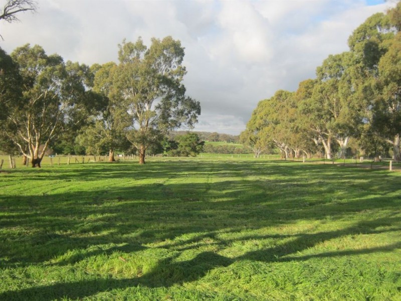 785 Marrabel Rd, Hamilton SA 5373