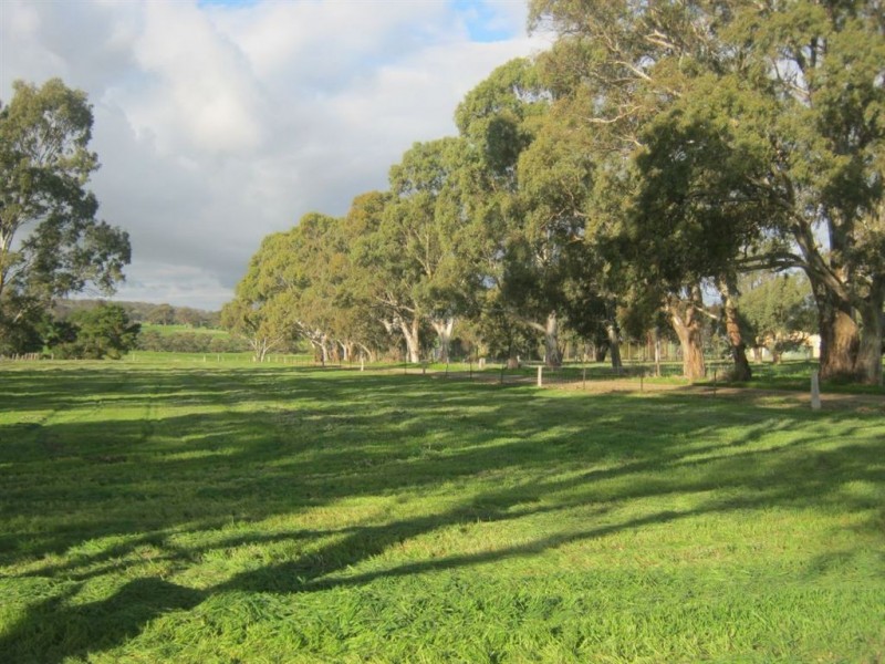 785 Marrabel Rd, Hamilton SA 5373