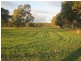 785 Marrabel Rd, Hamilton SA 5373
