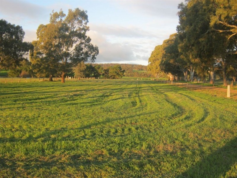 785 Marrabel Rd, Hamilton SA 5373