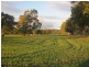 785 Marrabel Rd, Hamilton SA 5373