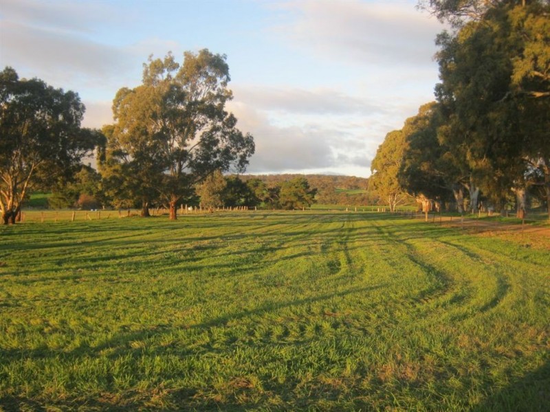 785 Marrabel Rd, Hamilton SA 5373