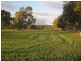 785 Marrabel Rd, Hamilton SA 5373