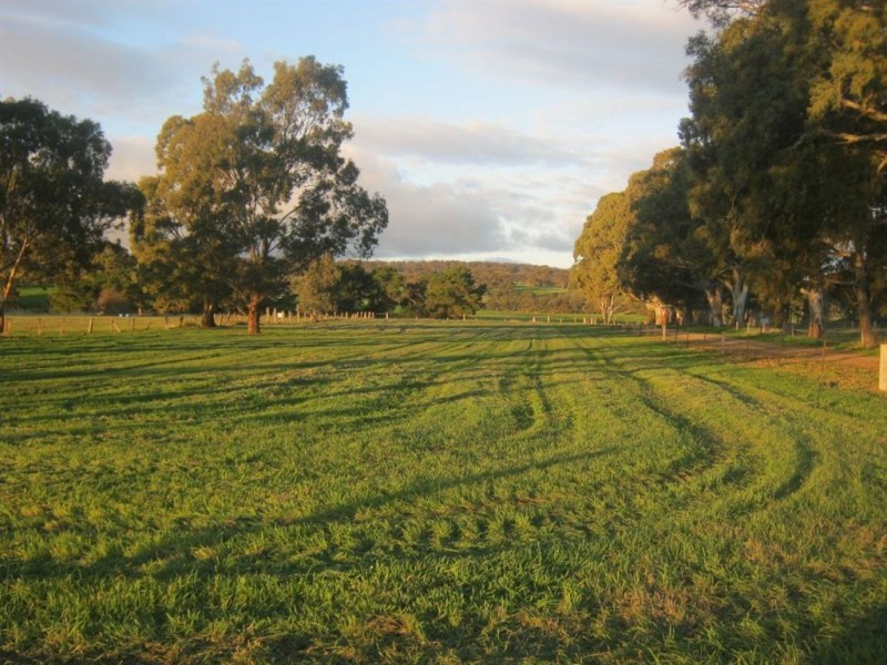 785 Marrabel Rd, Hamilton SA 5373