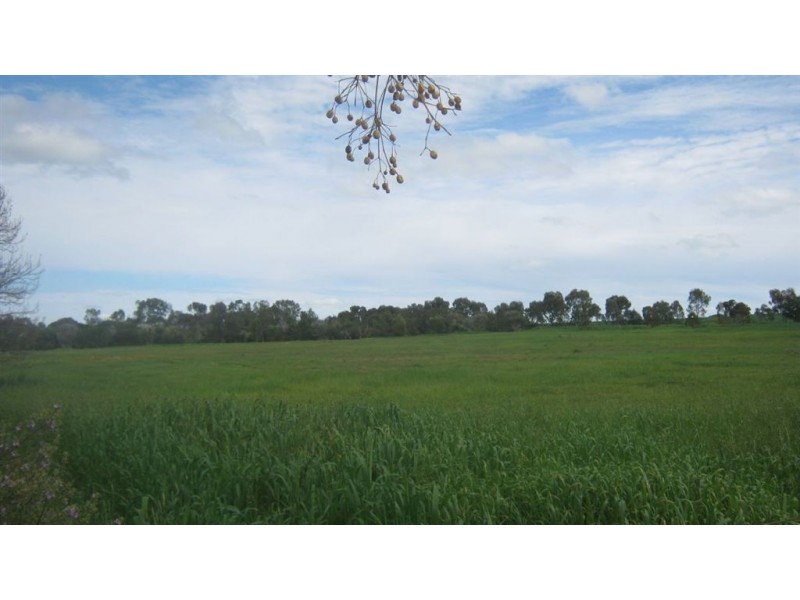 39 Masters Street, Riverton SA 5412