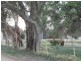 827 Marrabel Road (corner George Street), Hamilton SA 5373