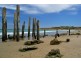 32 Esplanade, Port Willunga SA 5173