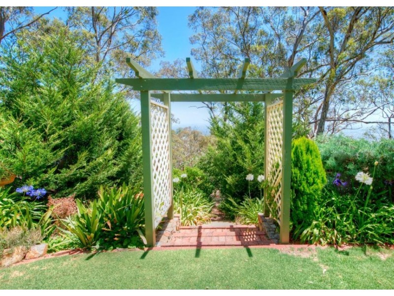 20 Teringie Drive, Teringie SA 5072