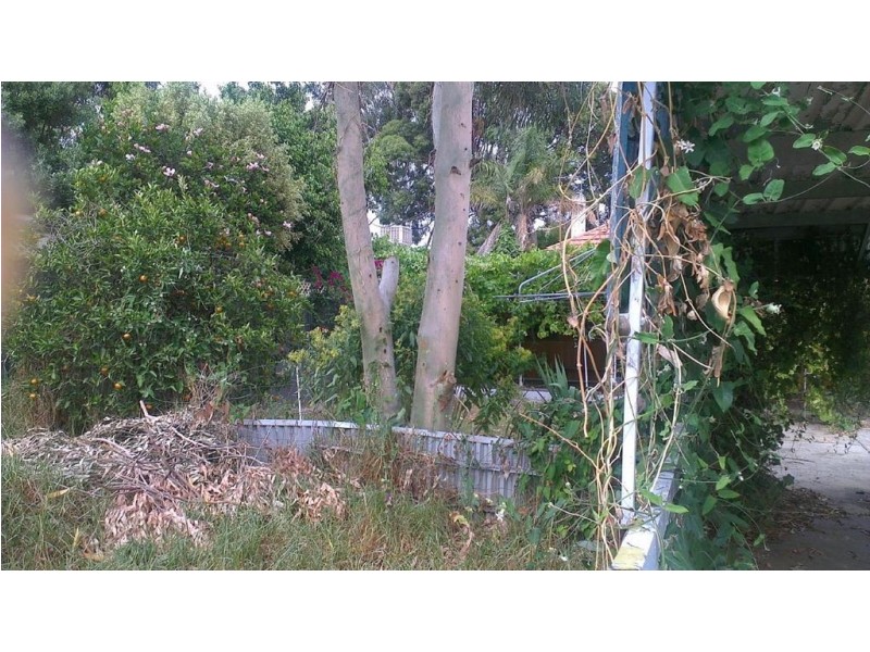 6 Yeronga Avenue, Kensington Park SA 5068