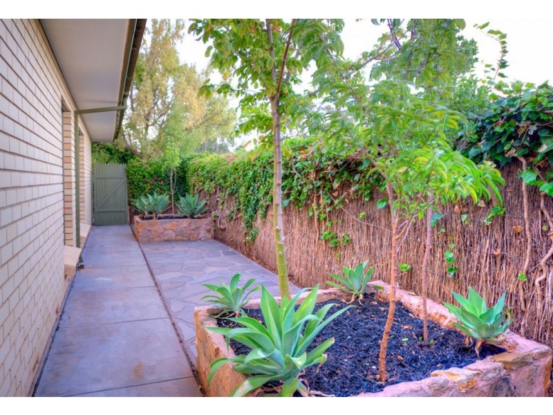 5/29 Sandford Street, Kensington Gardens SA 5068