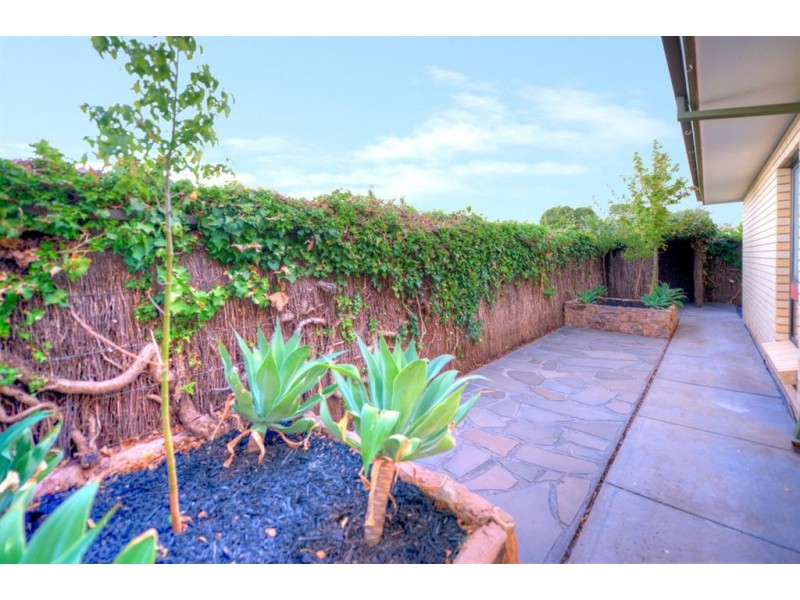 5/29 Sandford Street, Kensington Gardens SA 5068