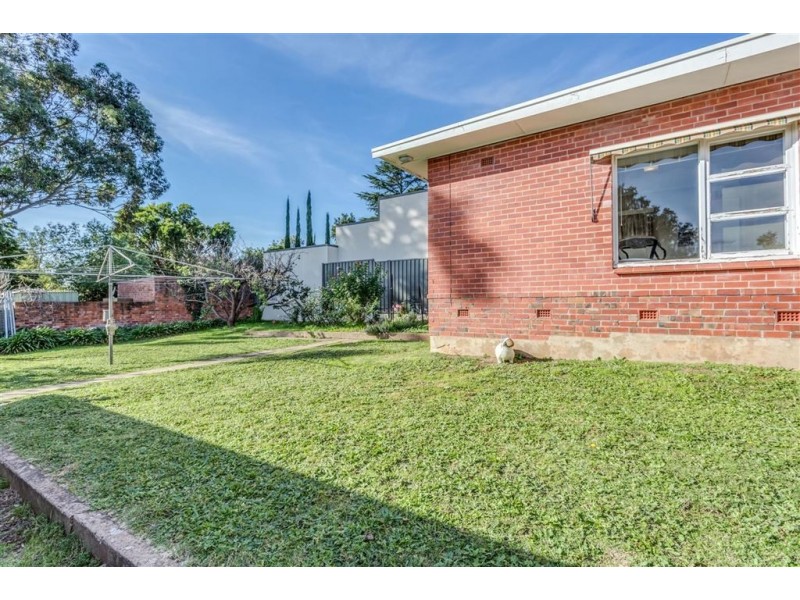 17 Romalo Avenue, Magill SA 5072